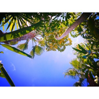 Photo Jul 08, 2 11 44 PM (1)